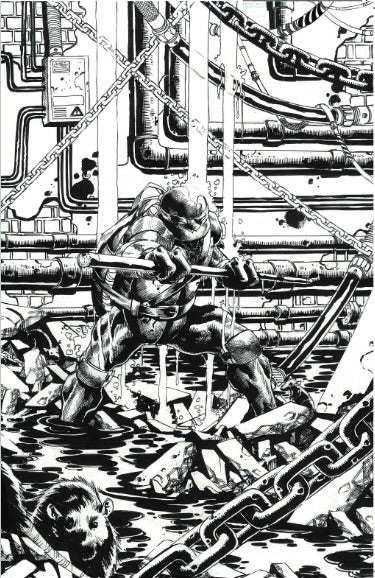 TEENAGE MUTANT NINJA TURTLES #9-12 JIMBO SALGADO Exclusive Virgin Connecting Variant Set LTD 600