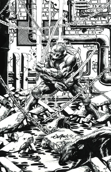 TEENAGE MUTANT NINJA TURTLES #9-12 JIMBO SALGADO Exclusive Virgin Connecting Variant Set LTD 600