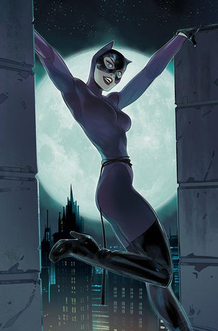 CATWOMAN #66 OTTO SCHMIDT 1:25 Card Stock Ratio Variant Cvr D