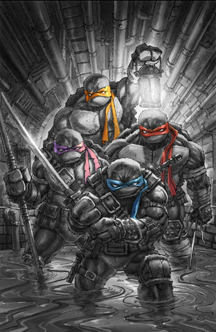 TEENAGE MUTANT NINJA TURTLES 2024 #1 ALAN QUAH Virgin Variant B LTD 600