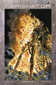 TERMINATOR #1 ALEX ROSS 1:20 FOIL Burning Earth Icon Ratio Variant