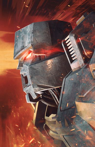 TRANSFORMERS #28 BJORN BARENDS 616 Virgin & FOIL Variant AB Set LTD 750