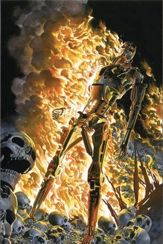 TERMINATOR #1 ALEX ROSS 1:25 FOIL Virgin Burning Earth Icon Ratio Variant