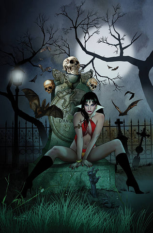 🚨🔥🦇 VAMPIRELLA #22 ERGUN GUNDUZ Virgin 1:30 Ratio Variant NM